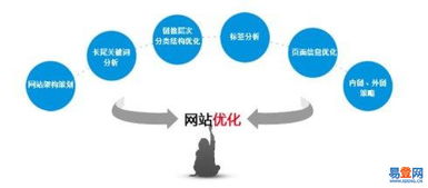 金水易登網——專業的網絡技術服務專家