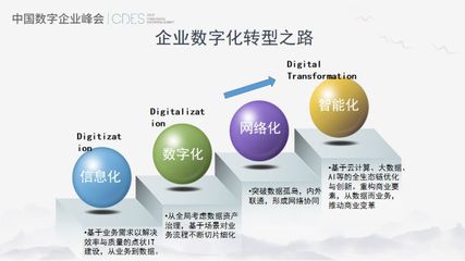 從信息化到數字化 阿里巴巴副總裁胡臣杰解讀企業網絡技術服務的演進