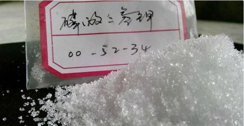 長壽花蟹爪蘭年年裝菜？今年澆透2種水，30天竄出圓潤花苞！